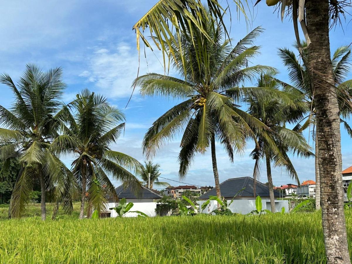 Anara Ubud Εξωτερικό φωτογραφία